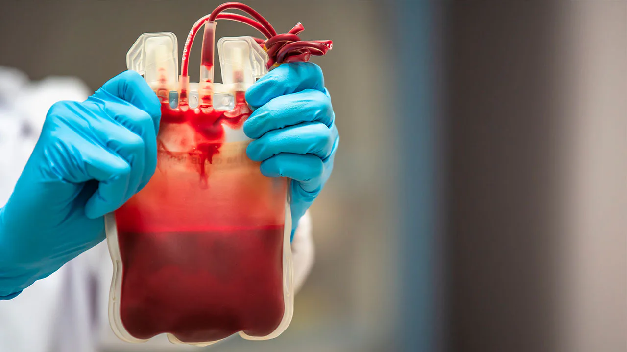 Imagem destacada de Sangue filtrato e fenotipado