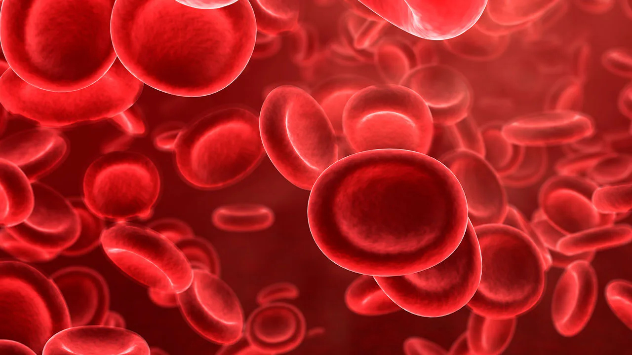 Talassemia Menor