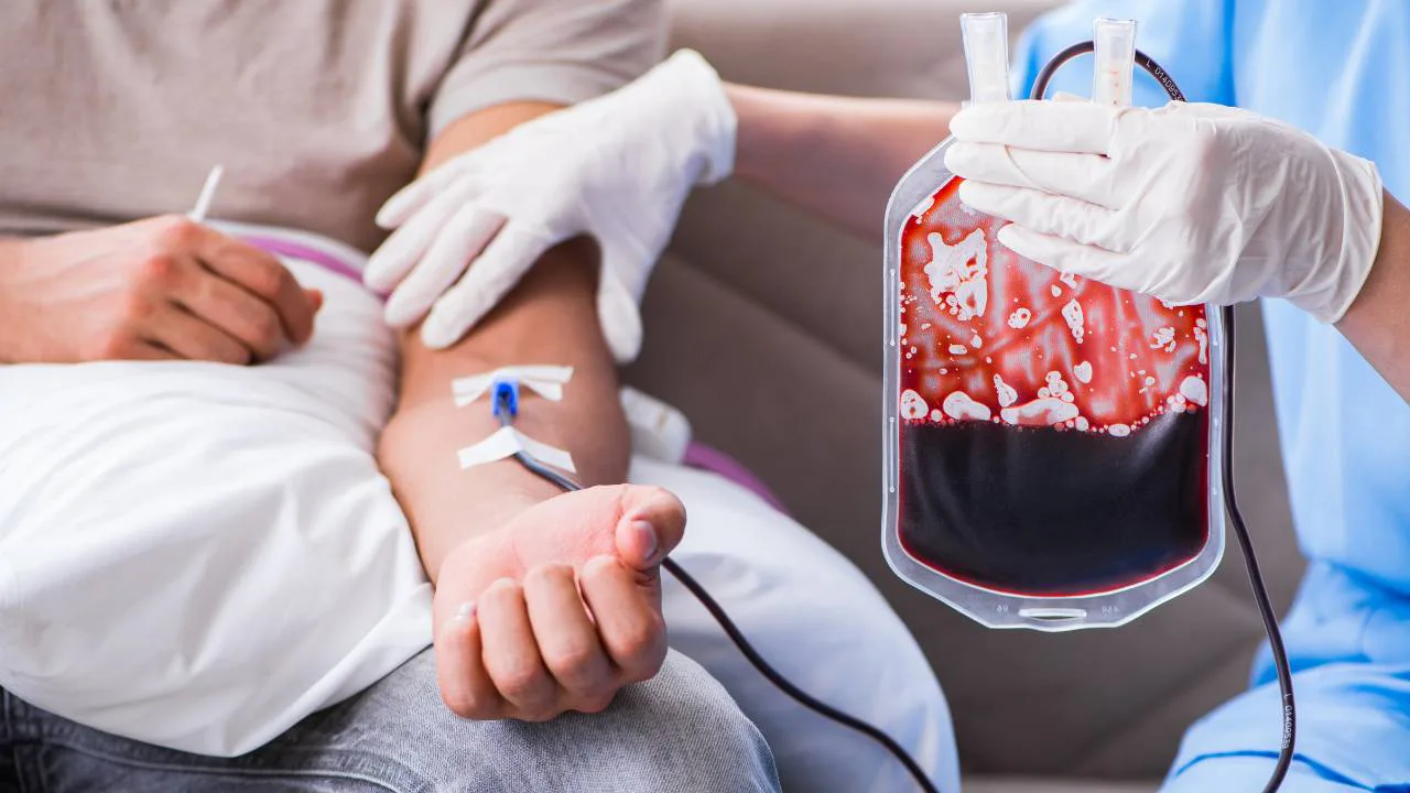 Imagem de destaque: Lei institui o Junho Vermelho: uma conquista para quem depende de transfusões